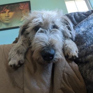 Meet your Posher, Matt